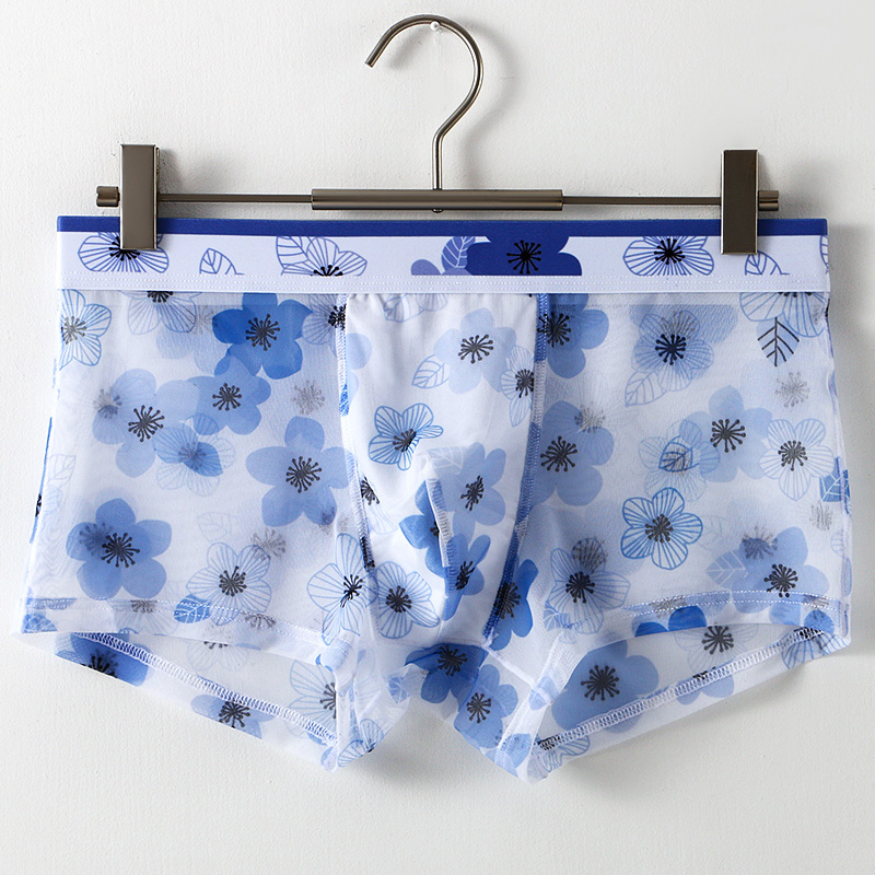 Ultra Thin Transparent Ice Sil - огляд і ціна Mesh Sport Boxer