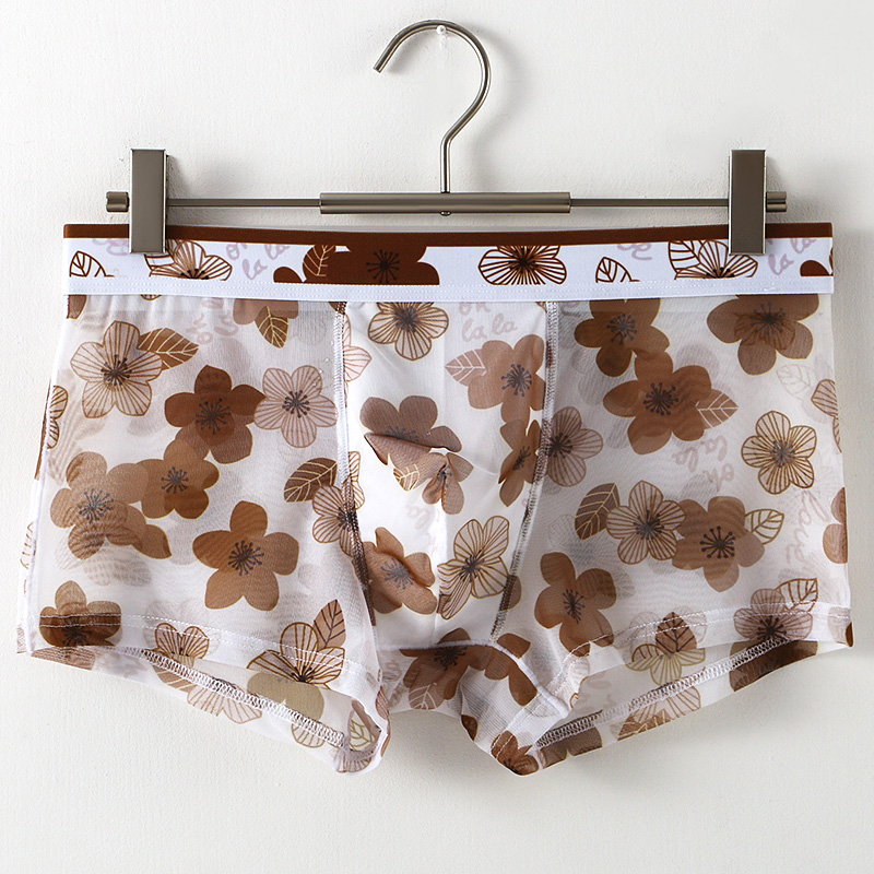 Ultra Thin Transparent Ice Sil - огляд і ціна Mesh Sport Boxer
