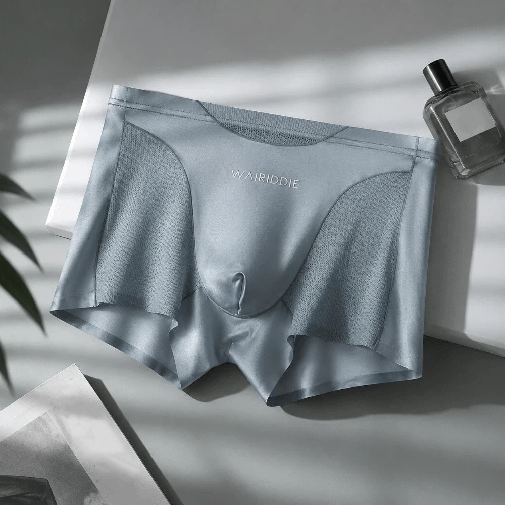 Simple Mesh Ice Silk Underwear - огляд і ціна Mesh Sport Boxer